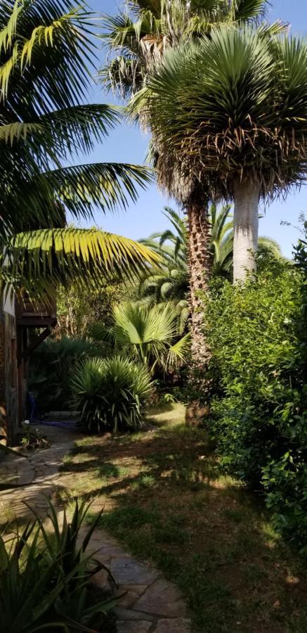 Апартаменты La Casita De La Vega Икод-де-лос-Винос Экстерьер фото